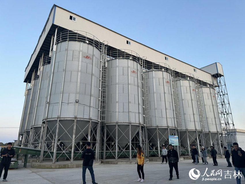 黑土地上粮满仓(图6)
