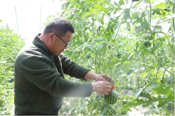 济南起步区：农村“三变“改革结硕果“沉睡资源”变“金山银山”(图3)