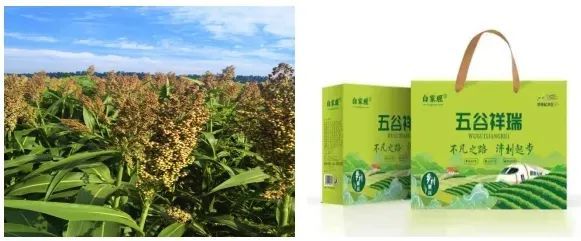 济南起步区：农村“三变“改革结硕果“沉睡资源”变“金山银山”(图4)