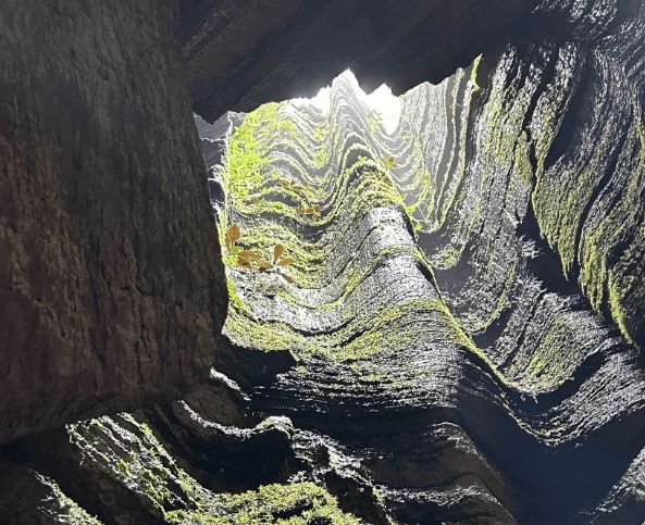 带父母去恩施旅游跟团还是自由行好？恩施近期旅行社报价是多少？(图4)