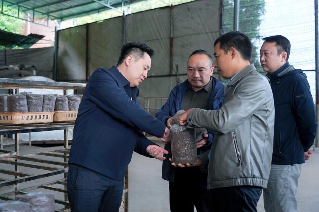 叙府绿色农业乡村振兴基地正式揭牌ESG战略指导下的“绿色+”结硕果!(图1)