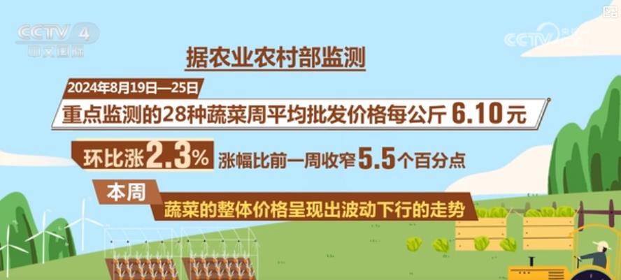 蔬菜价格明显回落多措并举拎稳“菜篮子”(图2)