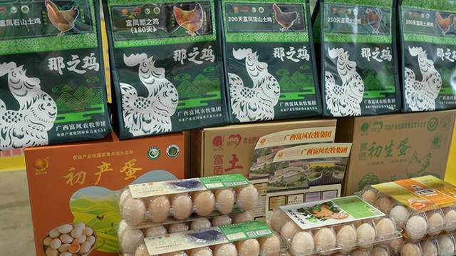 2024广西国际农业博览会：展农业发展成果促乡村全面振兴(图3)