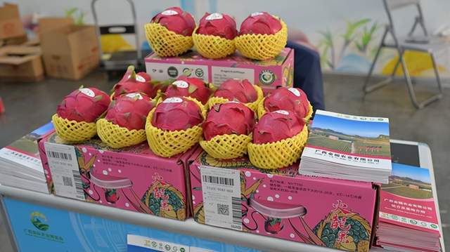 2024广西国际农业博览会：展农业发展成果促乡村全面振兴(图4)