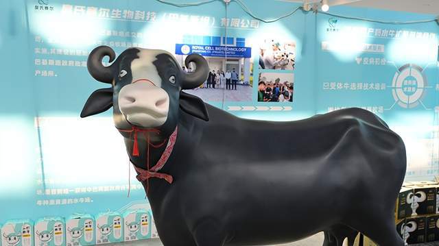 2024广西国际农业博览会：展农业发展成果促乡村全面振兴(图6)