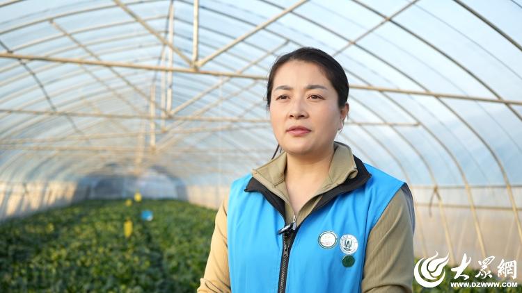 循环农业·沂蒙好例｜临沂莒南：有“鸡”肥种养有机菜“粪土”也能变“黄金”(图3)