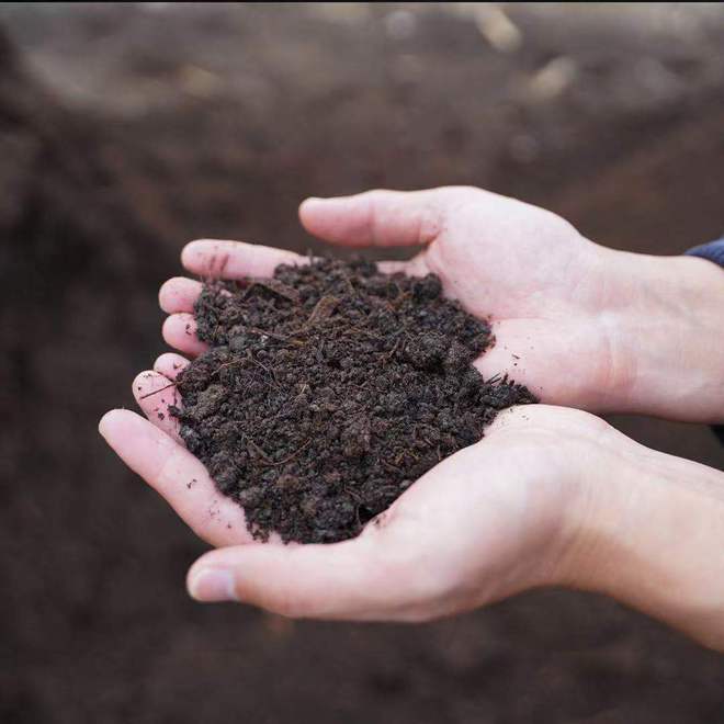 有机肥的正确使用方法(图6)