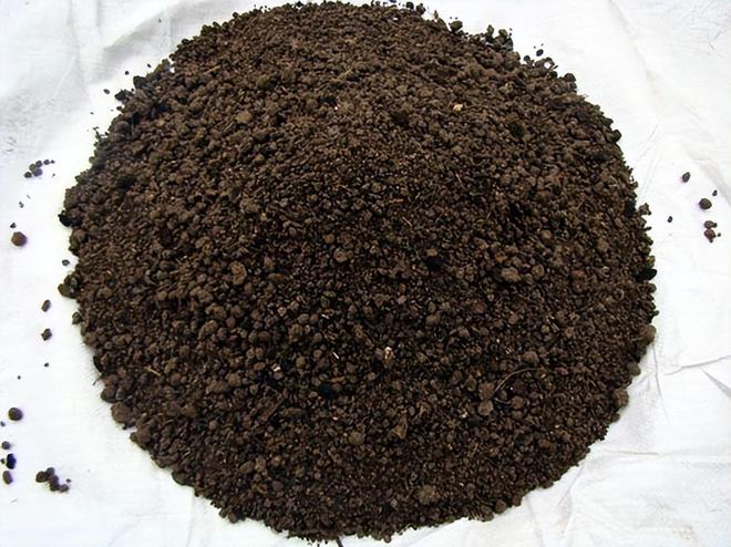 有机肥的正确使用方法(图5)