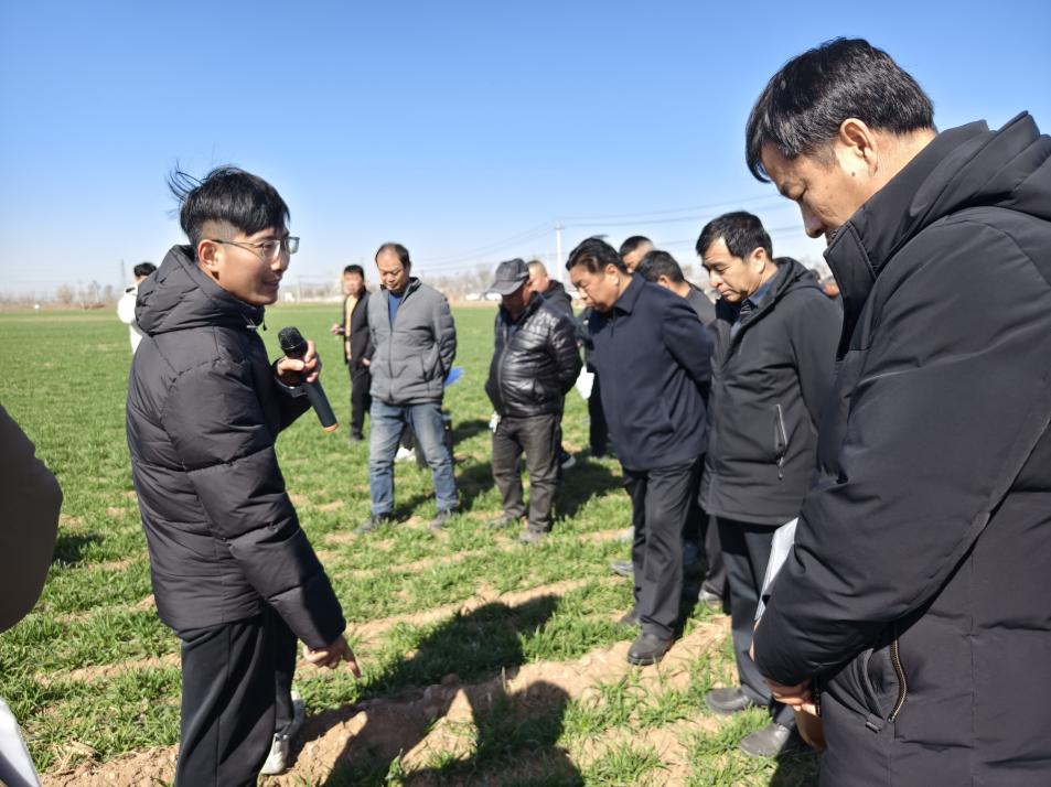 麦香万里越重洋(图2)