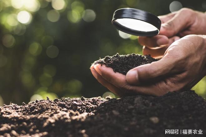 解锁土壤生命力密钥：福赛农业「生物酶小分子有机肥」(图1)