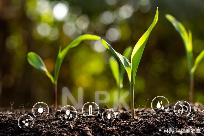 解锁土壤生命力密钥：福赛农业「生物酶小分子有机肥」(图2)