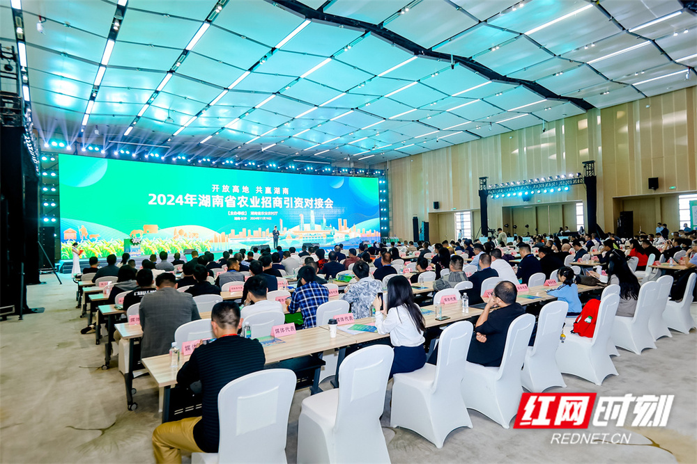 现场签约13个项目2024湖南省农业招商引资对接会在长沙举行(图1)