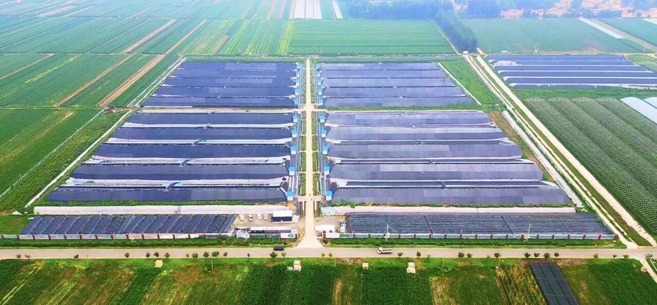 潍坊峡山区一农业园区入选2024年全国智慧农业建设典型案例(图2)