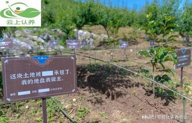 云上认养——认养农业推动农业发展新进程!(图2)
