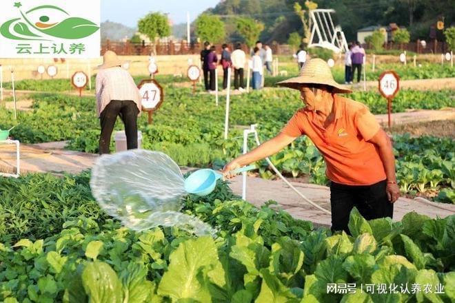 云上认养——认养农业推动农业发展新进程!(图3)