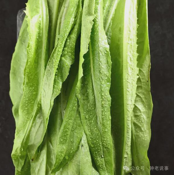 8种不打农药或者很少打农药的蔬菜菜农们也常吃你买对了吗(图4)