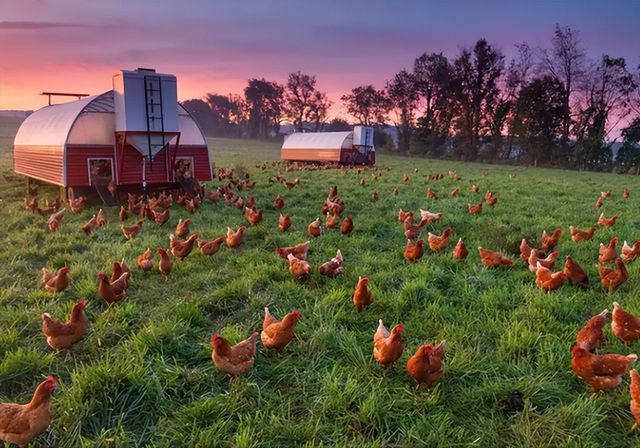 中国与美国的差距有多大？看看美国的农村总算明白了！(图8)