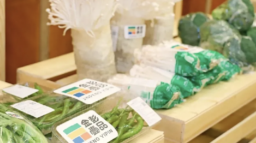 蔬香彭州农旅新篇：第十三届中国·四川（彭州）蔬菜博览会打造“蔬香+N”沉浸式体验(图2)