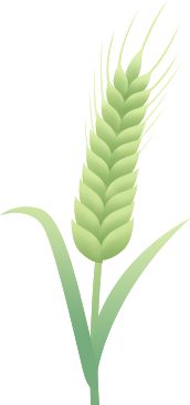 省农博会喊你报名了!(图1)