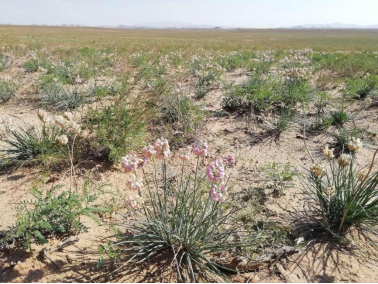 2024年11月餐饮供应链月报:小众地域食材受关注(图17)