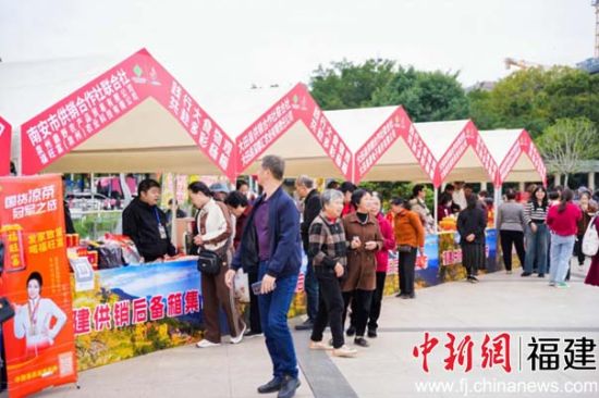 近200种农产品在德化亮相福建供销后备箱集市拉开帷幕(图3)