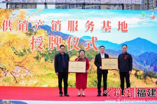 近200种农产品在德化亮相福建供销后备箱集市拉开帷幕(图2)