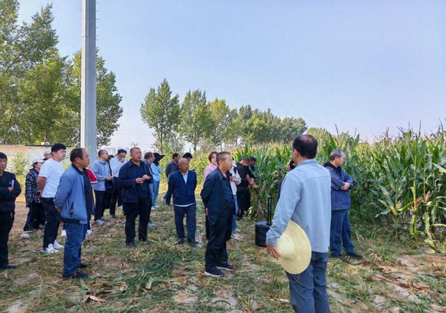 2024年太原市玉米及大豆绿色高产种植模式科研基地现场观摩暨粮食有机旱作集成技术培训在阳曲县成功举办(图1)