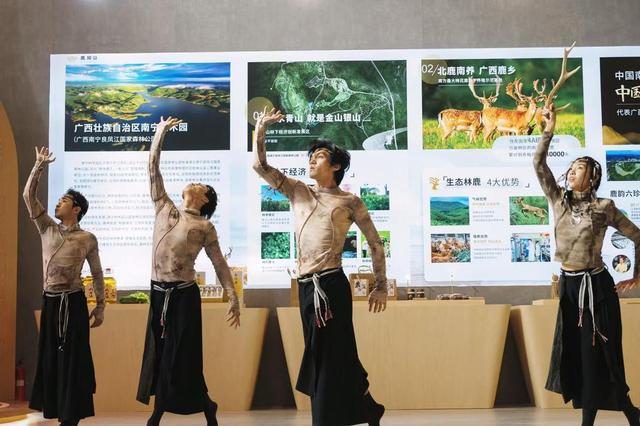 南宁树木园“鹿呦山”展厅亮相2024年世界林木业大会(图1)