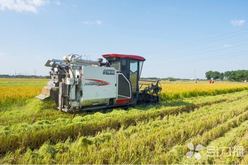 乡村振兴画卷在这里渐次铺展(图2)