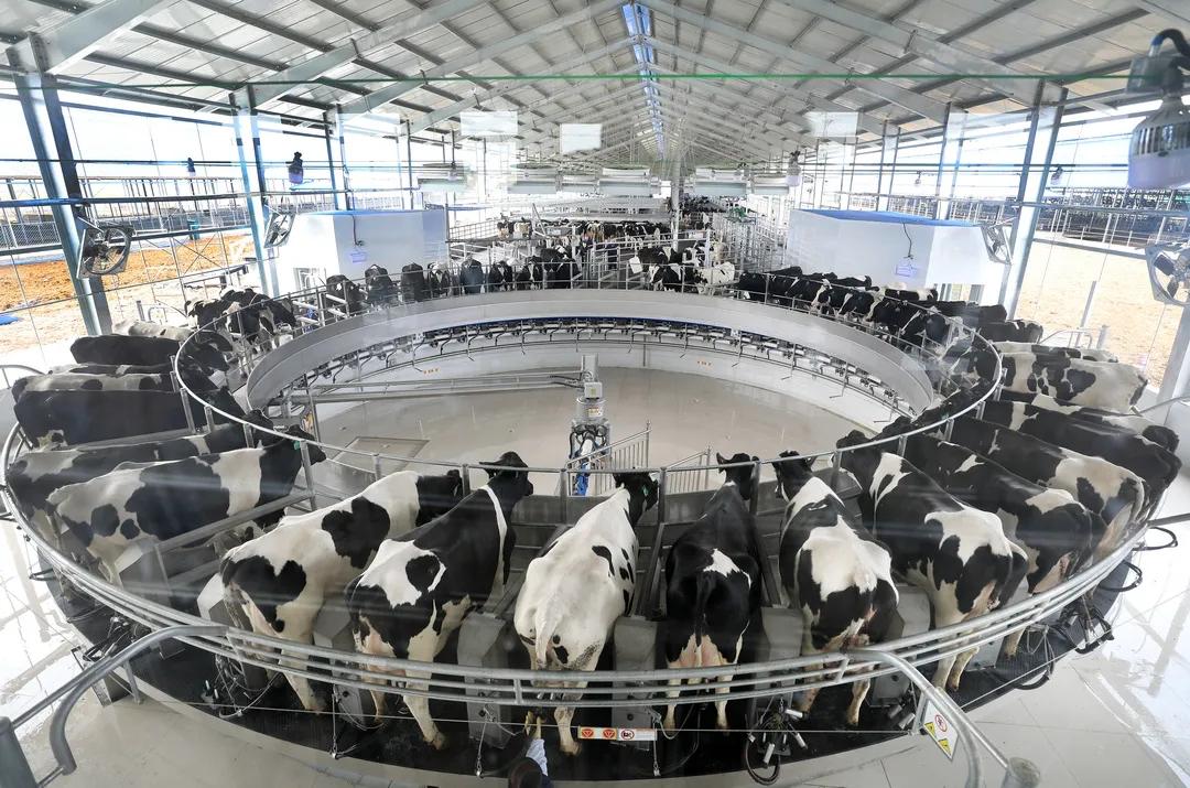 安徽向新｜煤城焕新记(图4)