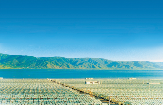 绿A生物再次入选云南省“绿色云品”品牌目录名单(图2)