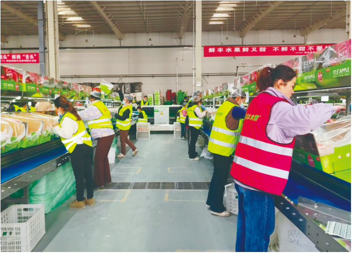 经济民生小苹果何以成为致富大产业(图3)