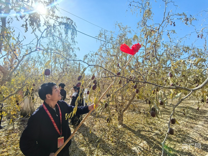 2024新疆巴州若羌且末红枣节火热开幕(图4)