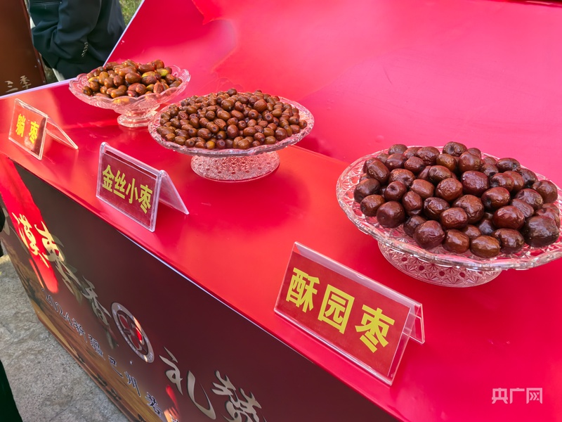 2024新疆巴州若羌且末红枣节火热开幕(图5)