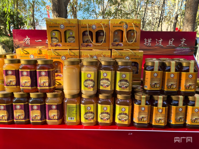 2024新疆巴州若羌且末红枣节火热开幕(图7)