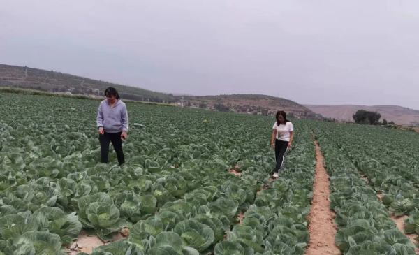 定西市农业农村局(图2)