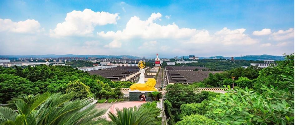 五粮液携手“熊猫伙伴”:走绿色发展之路同绘“和美”新画卷(图2)