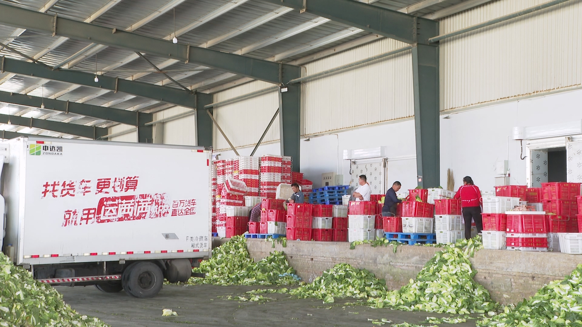 甘州：千亩有机蔬菜“蔬”写好“钱”景(图3)