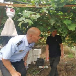 浙江杭州：多举措建设绿色优质农产品发展高地(图1)