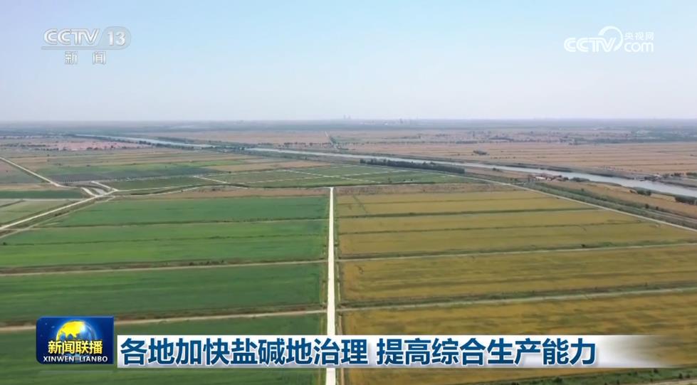 “盐窝”变“金窝”各地加快盐碱地治理进一步激活潜在粮仓(图3)