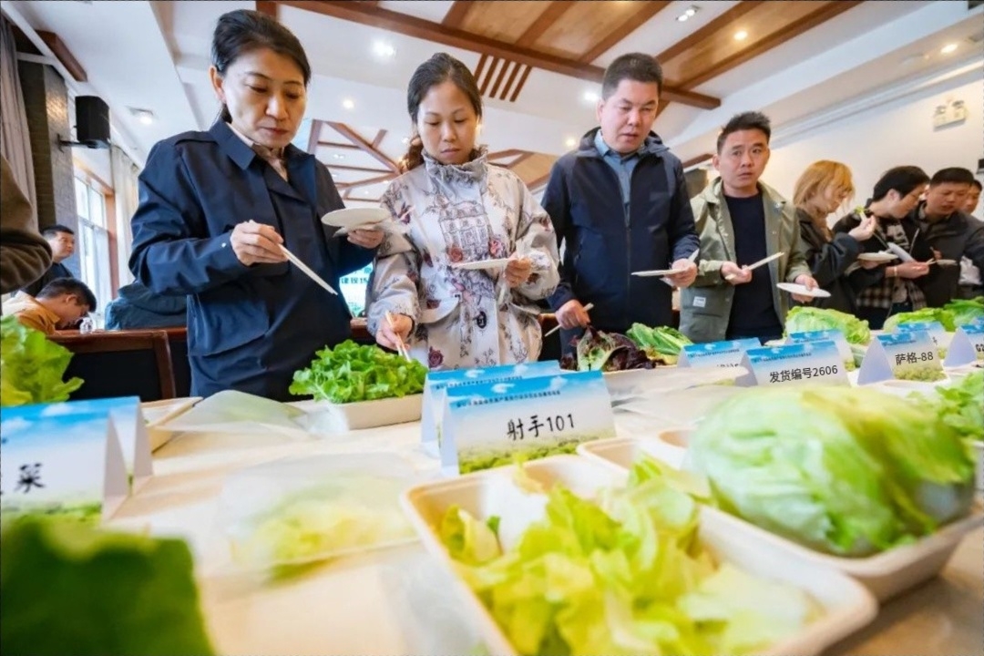 生菜固体饮料、多酚鸡蛋…今天这里科技含量满满！(图2)