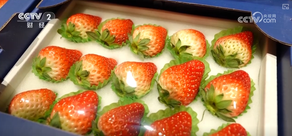 “果盘子”“菜篮子”抢“鲜”上市购销两旺生产供应基础好(图18)