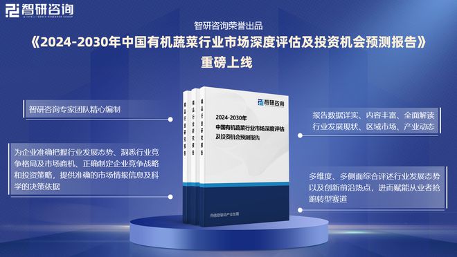 2025版中国有机蔬菜产业发展概况、市场竞争格局分析报告(图1)