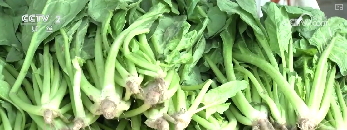 “果盘子”“菜篮子”抢“鲜”上市购销两旺生产供应基础好(图7)