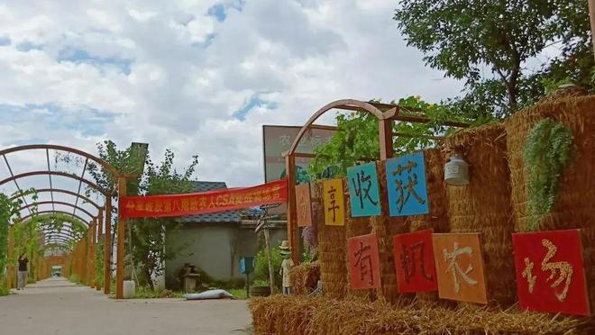 10几种菜任选即摘即邮！每周多花几十块钱全家三餐实现有机蔬菜升级！(图5)