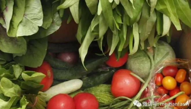 10几种菜任选即摘即邮！每周多花几十块钱全家三餐实现有机蔬菜升级！(图2)