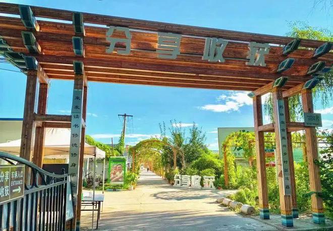 10几种菜任选即摘即邮！每周多花几十块钱全家三餐实现有机蔬菜升级！(图4)