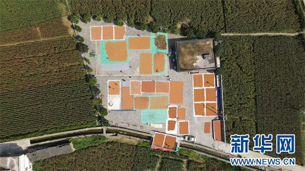 从茅台红缨子公司市场工作会看“酱酒芯片”快速迭代(图1)