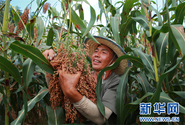 从茅台红缨子公司市场工作会看“酱酒芯片”快速迭代(图2)