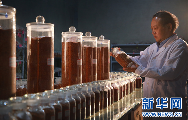 从茅台红缨子公司市场工作会看“酱酒芯片”快速迭代(图3)